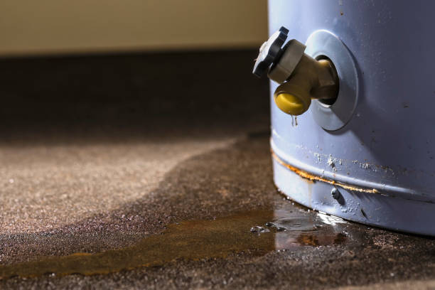 Sewage cleanup and water damage restoration in Forestville, CA