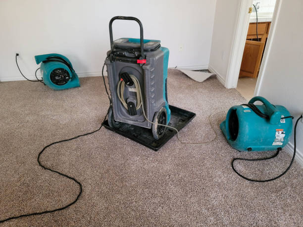 Reliable Forestville, CA Water damage restoration Solutions