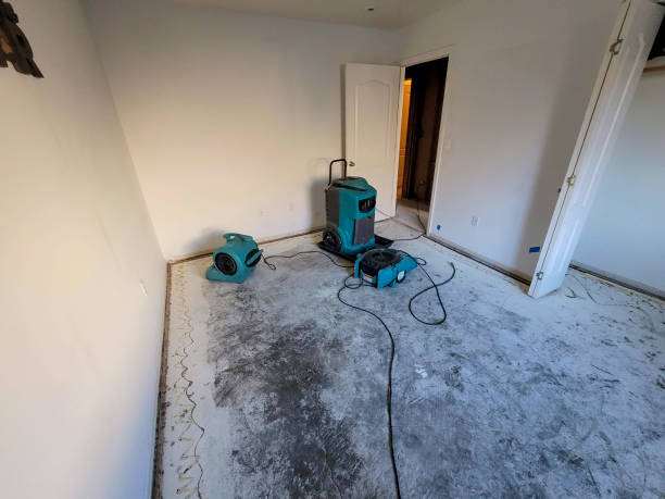Best Flood restoration services  in Forestville, CA