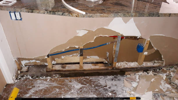 Best Water damage restoration near me  in Forestville, CA