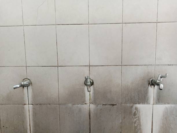 Best 24/7 water damage repair  in Forestville, CA