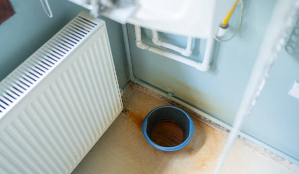 Best Water damage contractors near me  in Forestville, CA