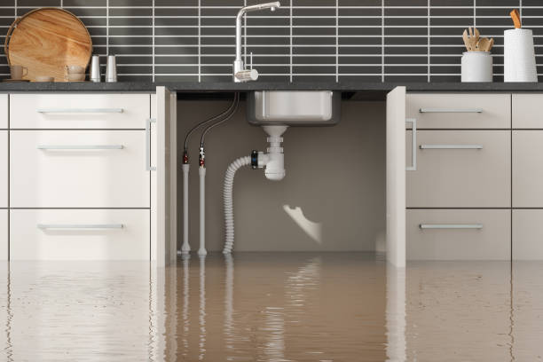 Best Professional water damage repair  in Forestville, CA